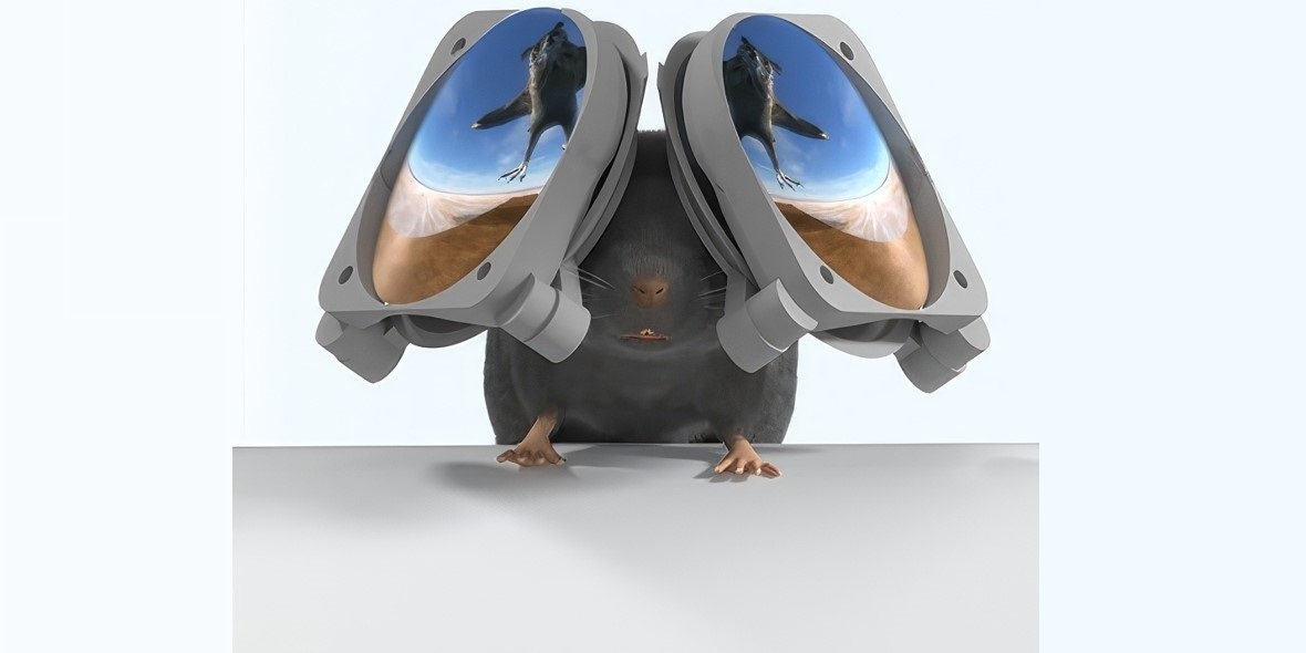 Okulary VR… dla myszy