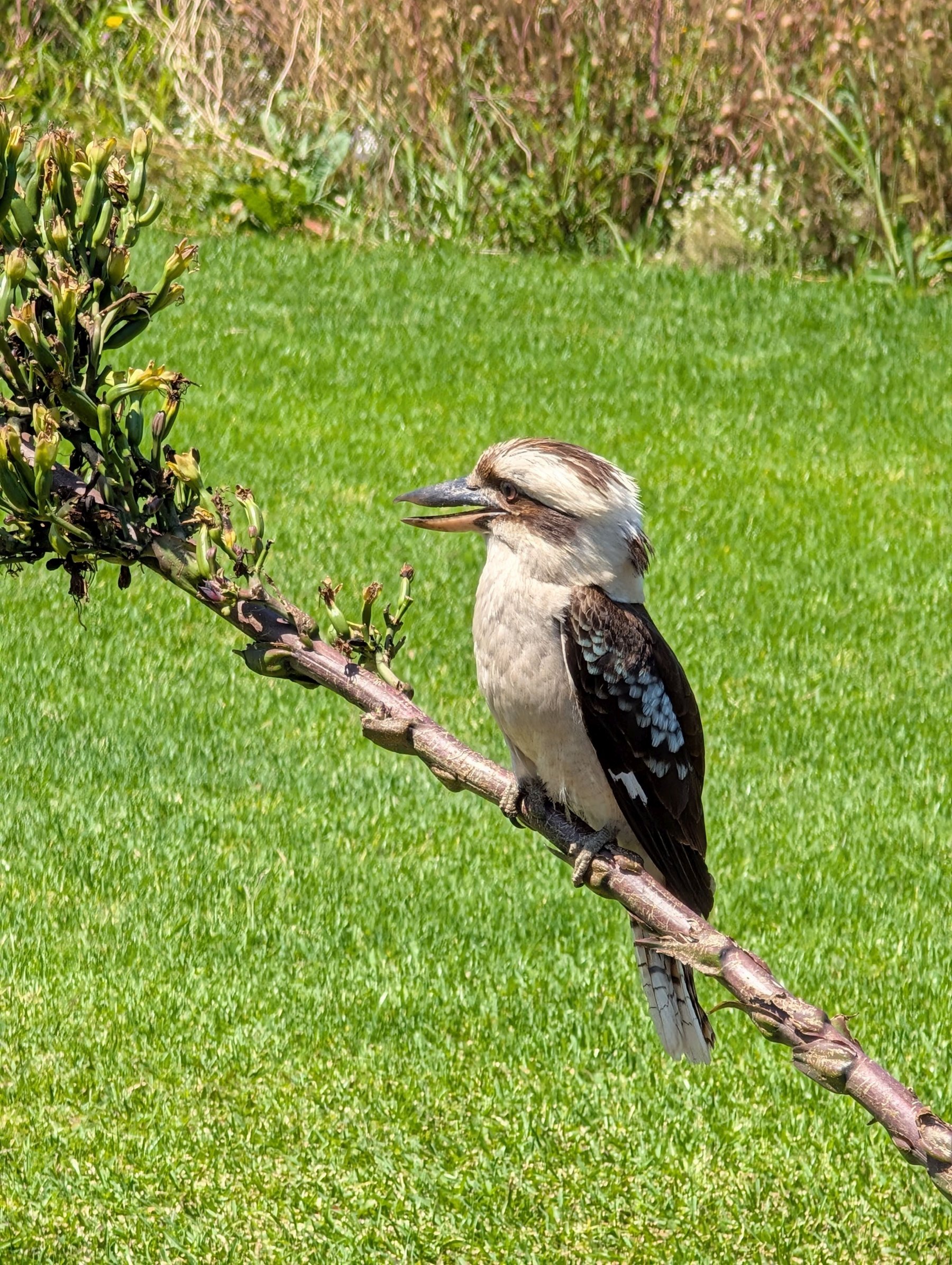 Google Pixel 9 Pro XL – przykładowe zdjęcia