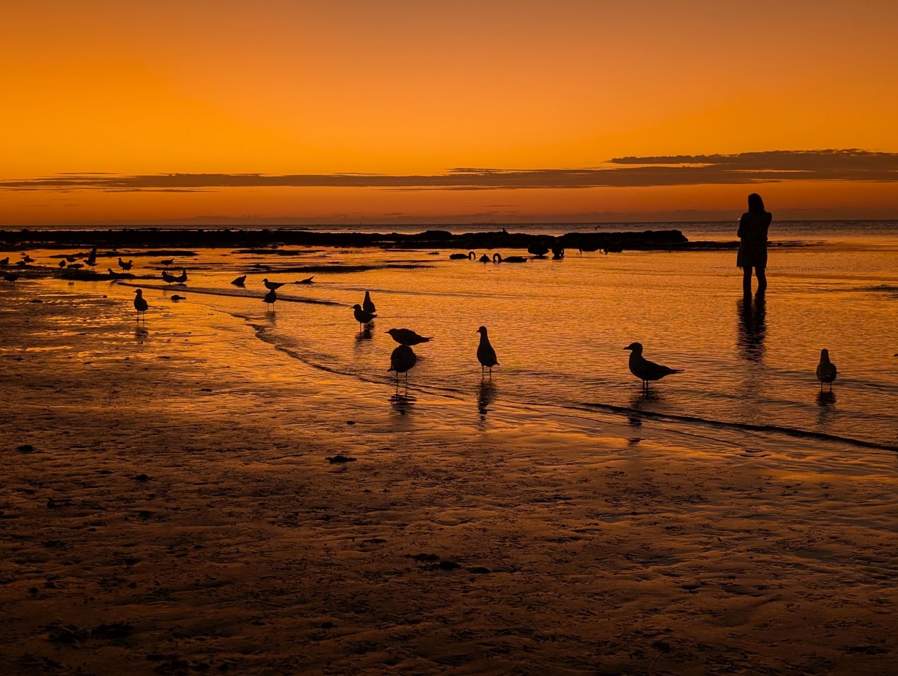 Google Pixel 9 Pro XL – przykładowe zdjęcia