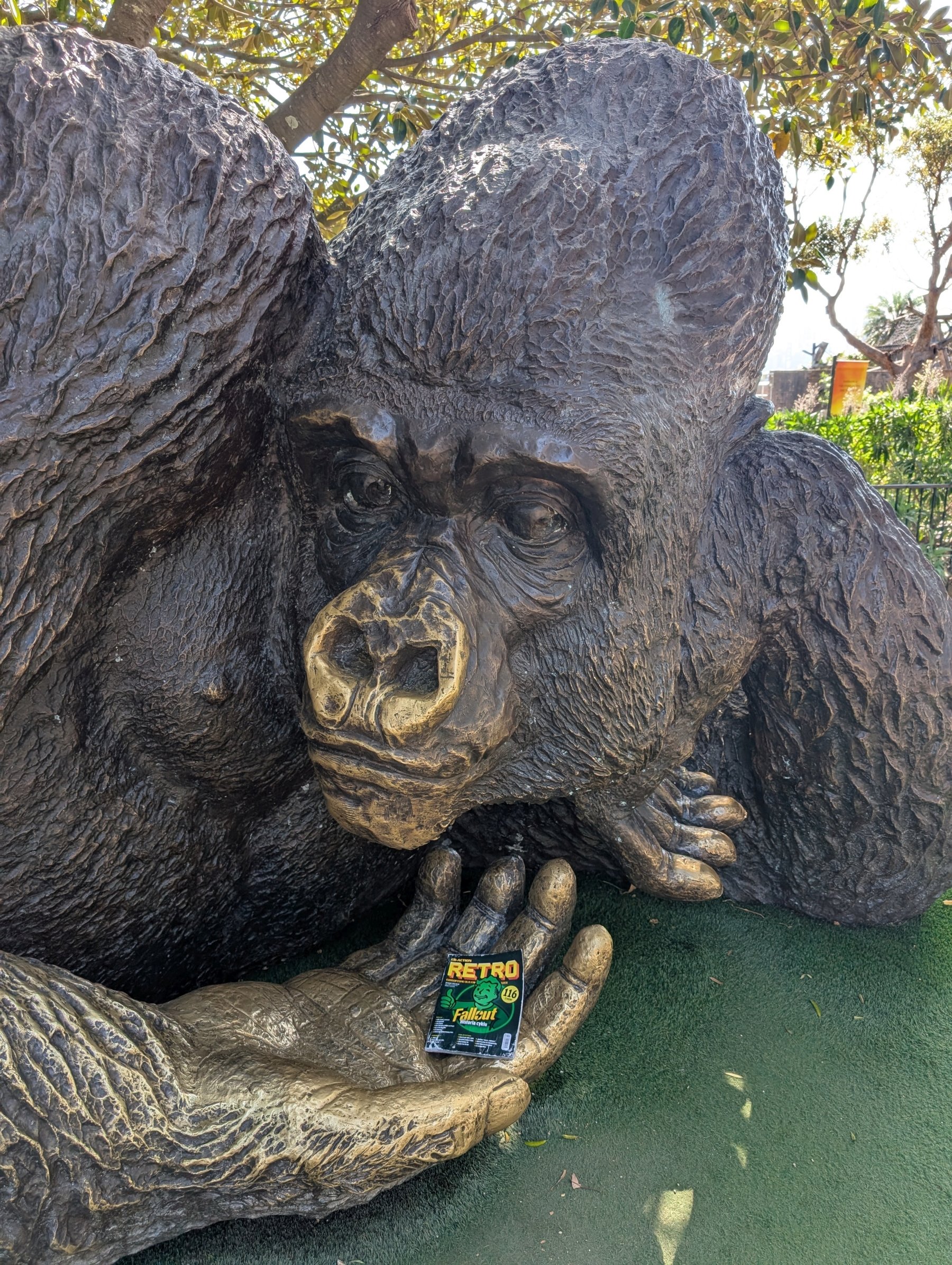 Google Pixel 9 Pro XL – przykładowe zdjęcia